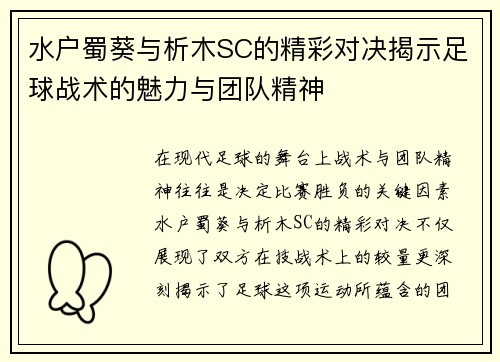 水户蜀葵与析木SC的精彩对决揭示足球战术的魅力与团队精神