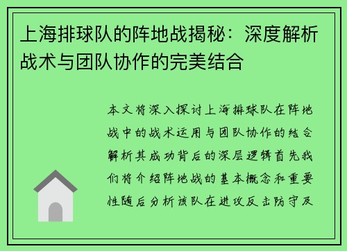 上海排球队的阵地战揭秘：深度解析战术与团队协作的完美结合