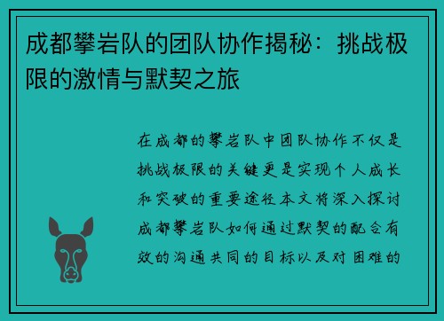 成都攀岩队的团队协作揭秘：挑战极限的激情与默契之旅