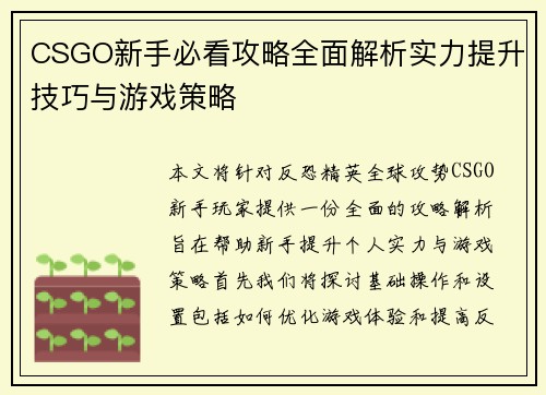 CSGO新手必看攻略全面解析实力提升技巧与游戏策略