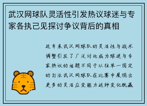 武汉网球队灵活性引发热议球迷与专家各执己见探讨争议背后的真相